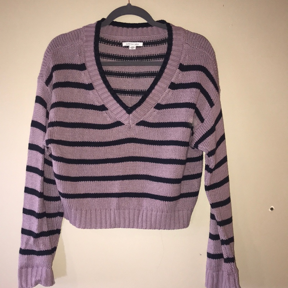Slightly cropped navy and purple sweater